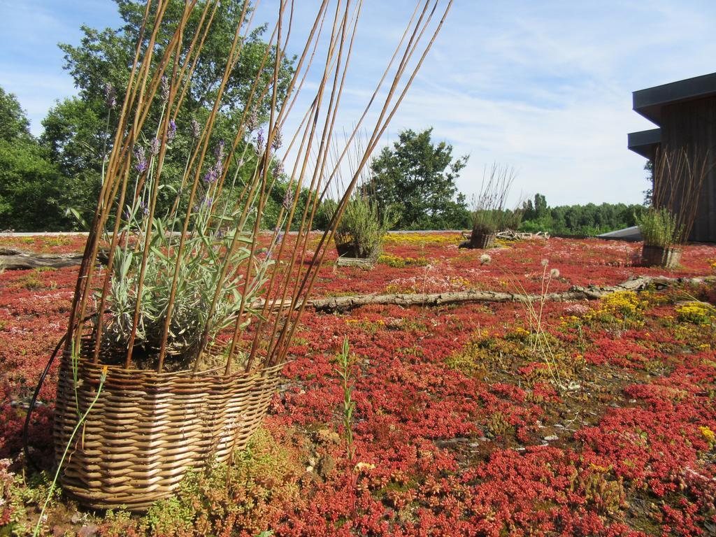 D'Une Autre Nature Mesland Luaran gambar