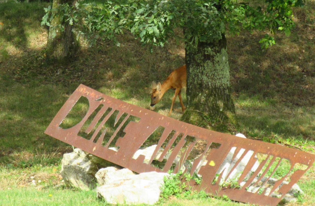D'Une Autre Nature Mesland Luaran gambar